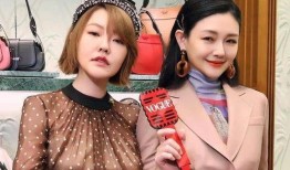 大S最新爆料内容,娱乐圈不为人知的真相大揭秘