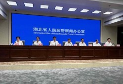 平湖最新爆料案件新闻发布会,新闻发布会揭露案情细节