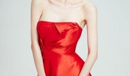 红装最新爆料,揭秘神秘红装背后的故事与魅力