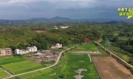 广东梅州爆料事件最新进展,真相逐步浮出水面