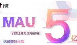 抖音王先生最新爆料,揭秘娱乐圈最新动态！