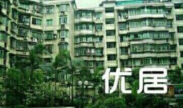 绿洲华府爆料最新消息,揭秘神秘项目背后的真相