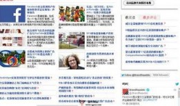 独家爆料最新的网站是什么,最新网站爆料，带你领略科技前沿风采