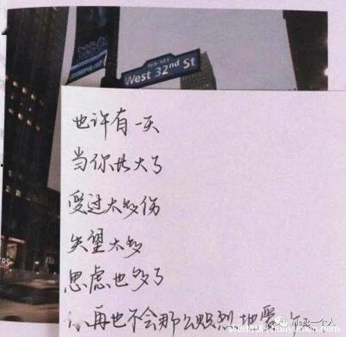 最新茶叶爆料文案短句子,探寻茶香背后的秘密与传奇”