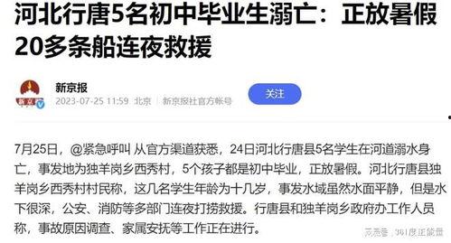保定唐县爆料事件最新消息,真相逐步浮出水面