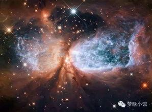 星云揽月返场爆料最新消息,最新爆料揭秘返场盛况